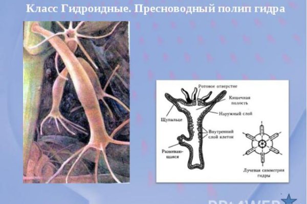 Кракен маркет даркнет только через стор