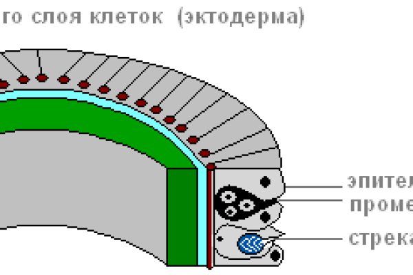 Кракен без тор