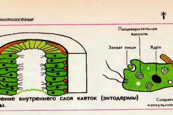 Kraken домен