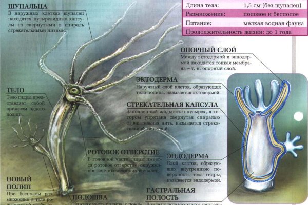 Кракен марке
